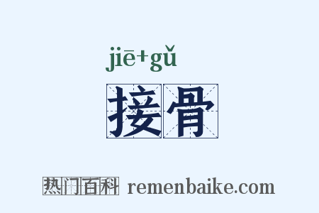 接骨是什么意思的图片